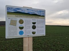 Stadt Mühlacker setzt artenschutzrechtliche Ausgleichsmaßnahmen um